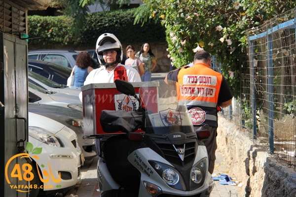 fall from above (3).JPG